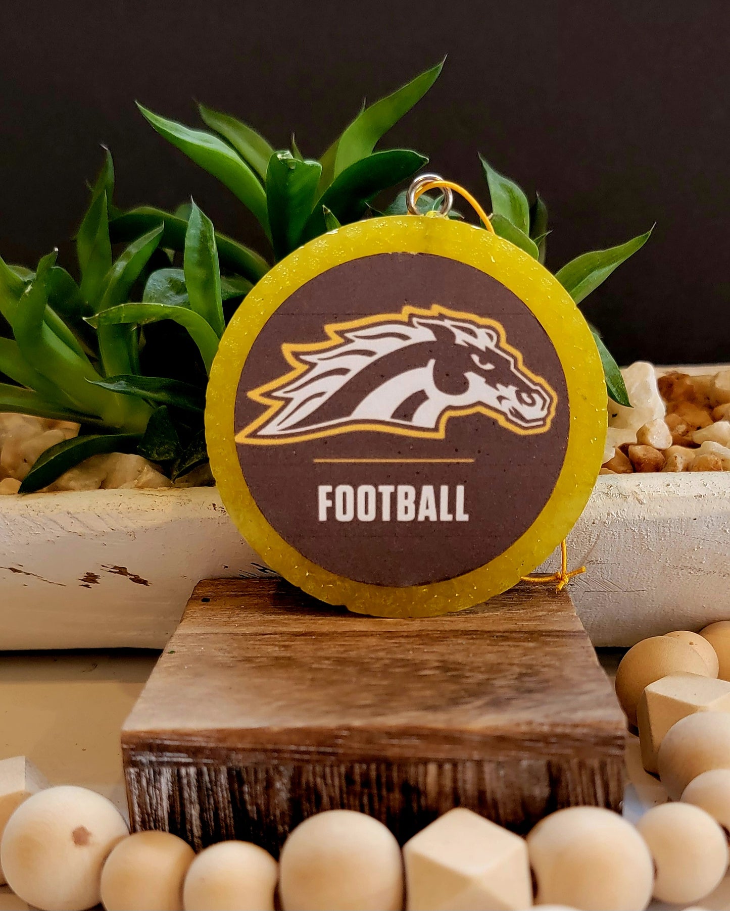 Western University Broncos