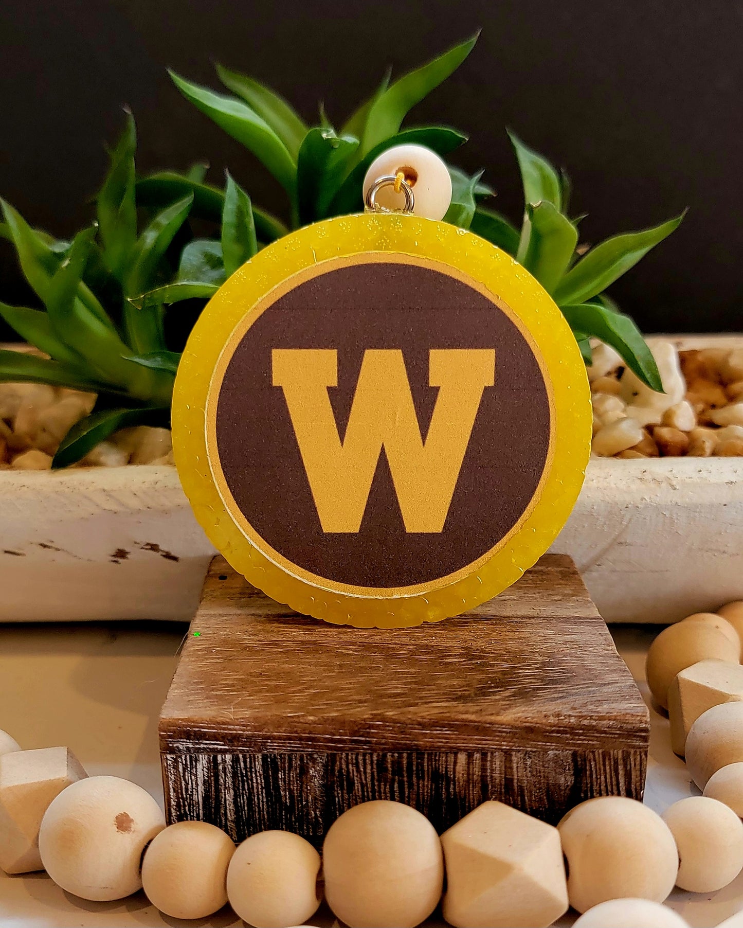 Western University Broncos