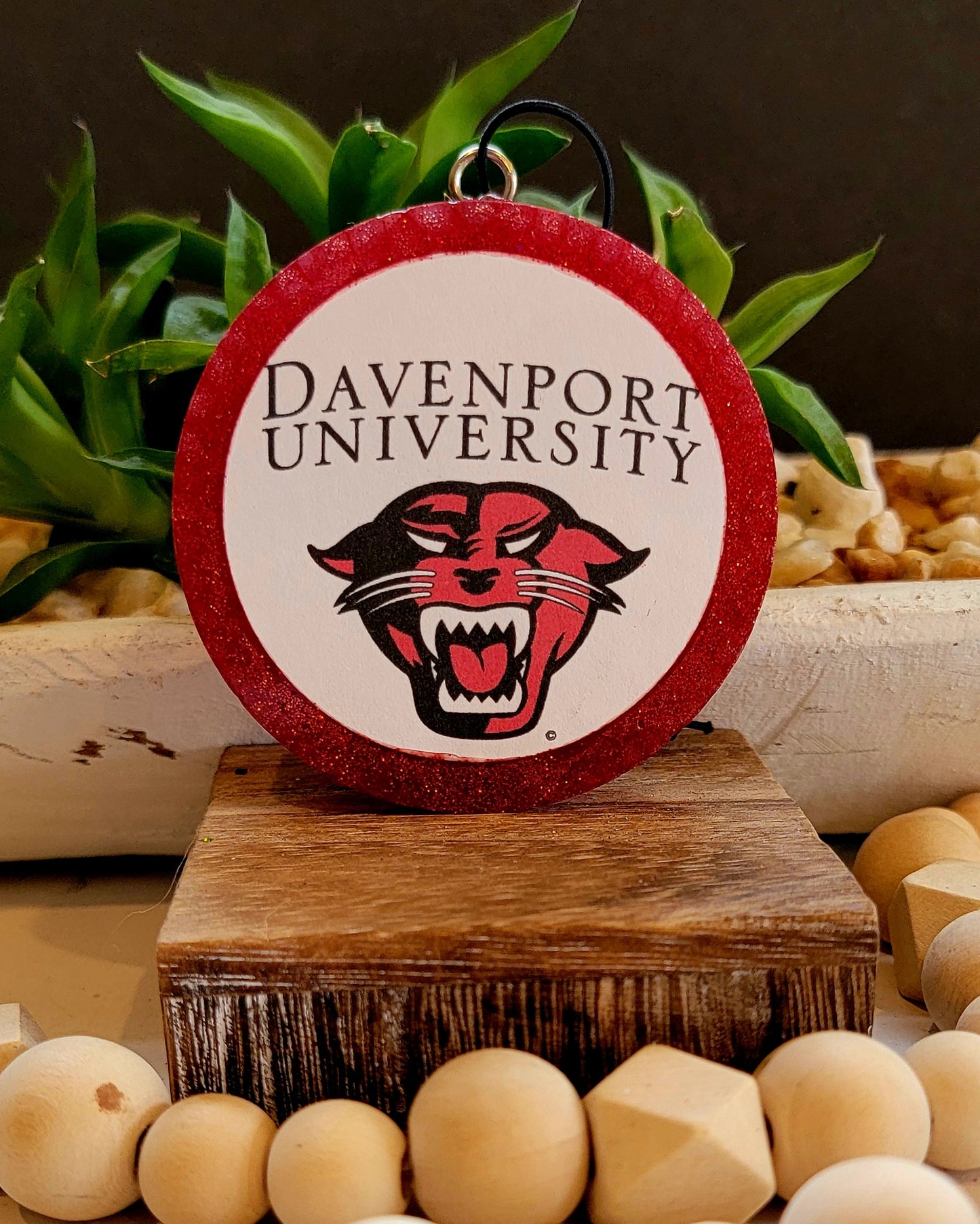 College Davenport University