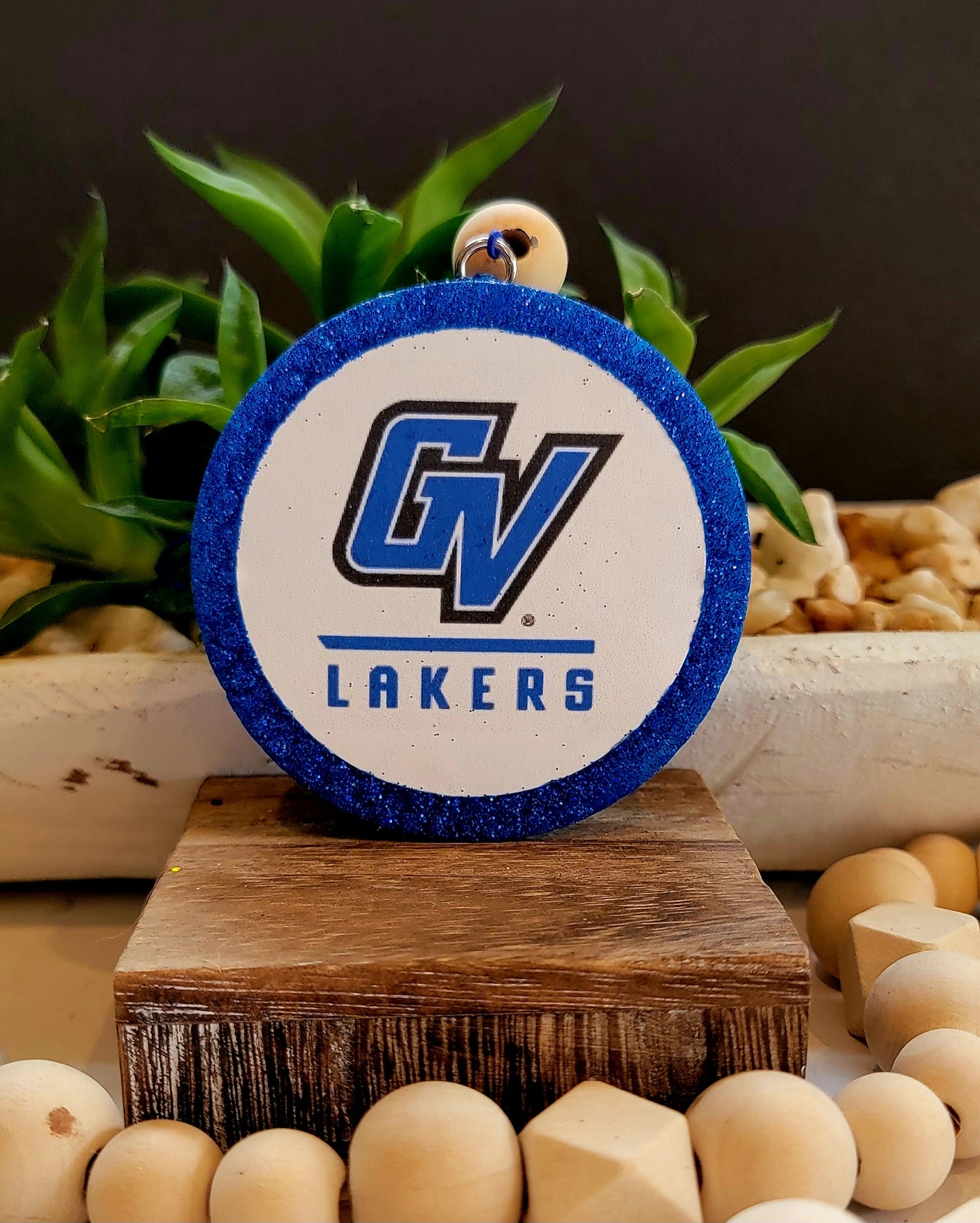 Grand valley Lakers college freshie