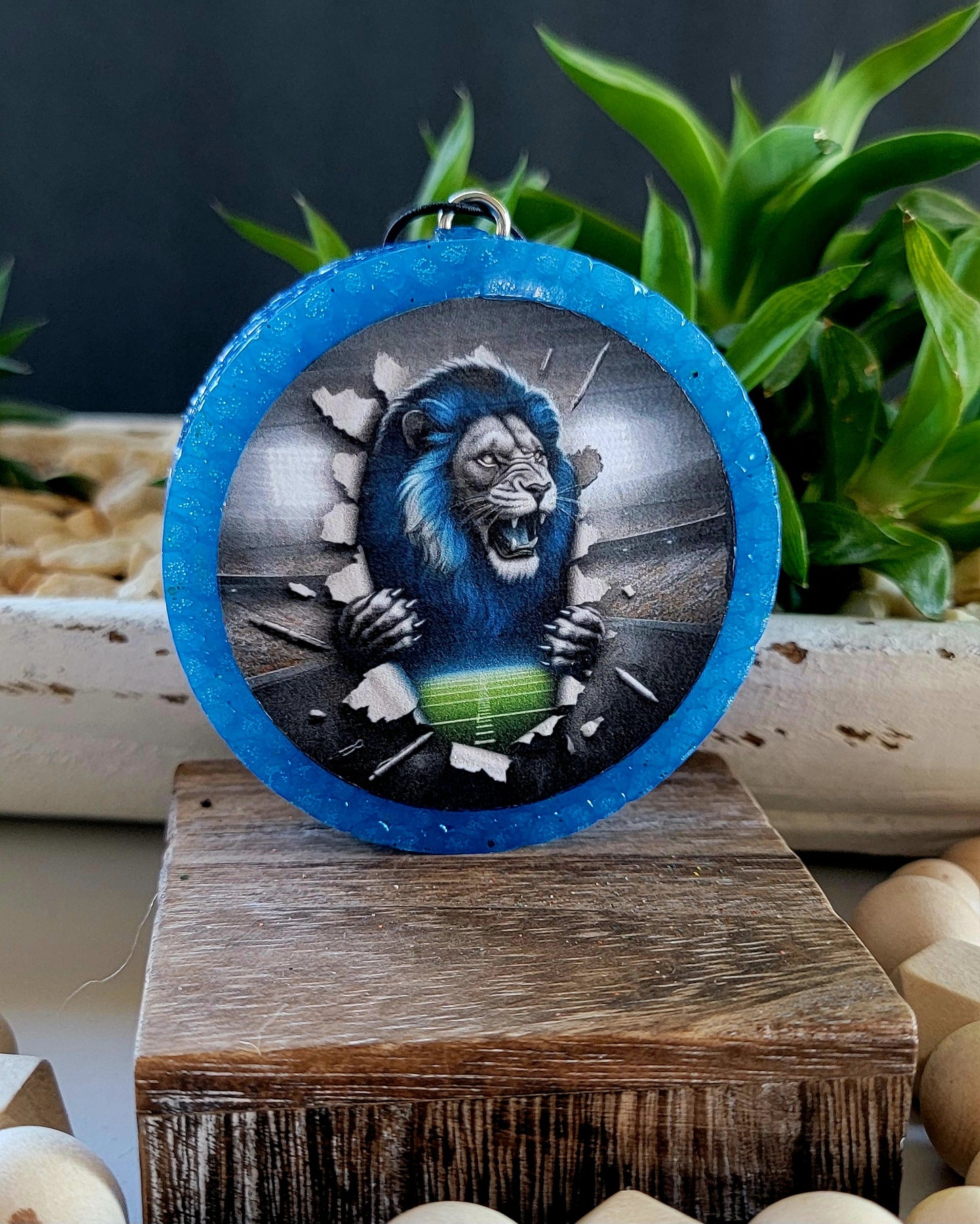 Detroit Lions