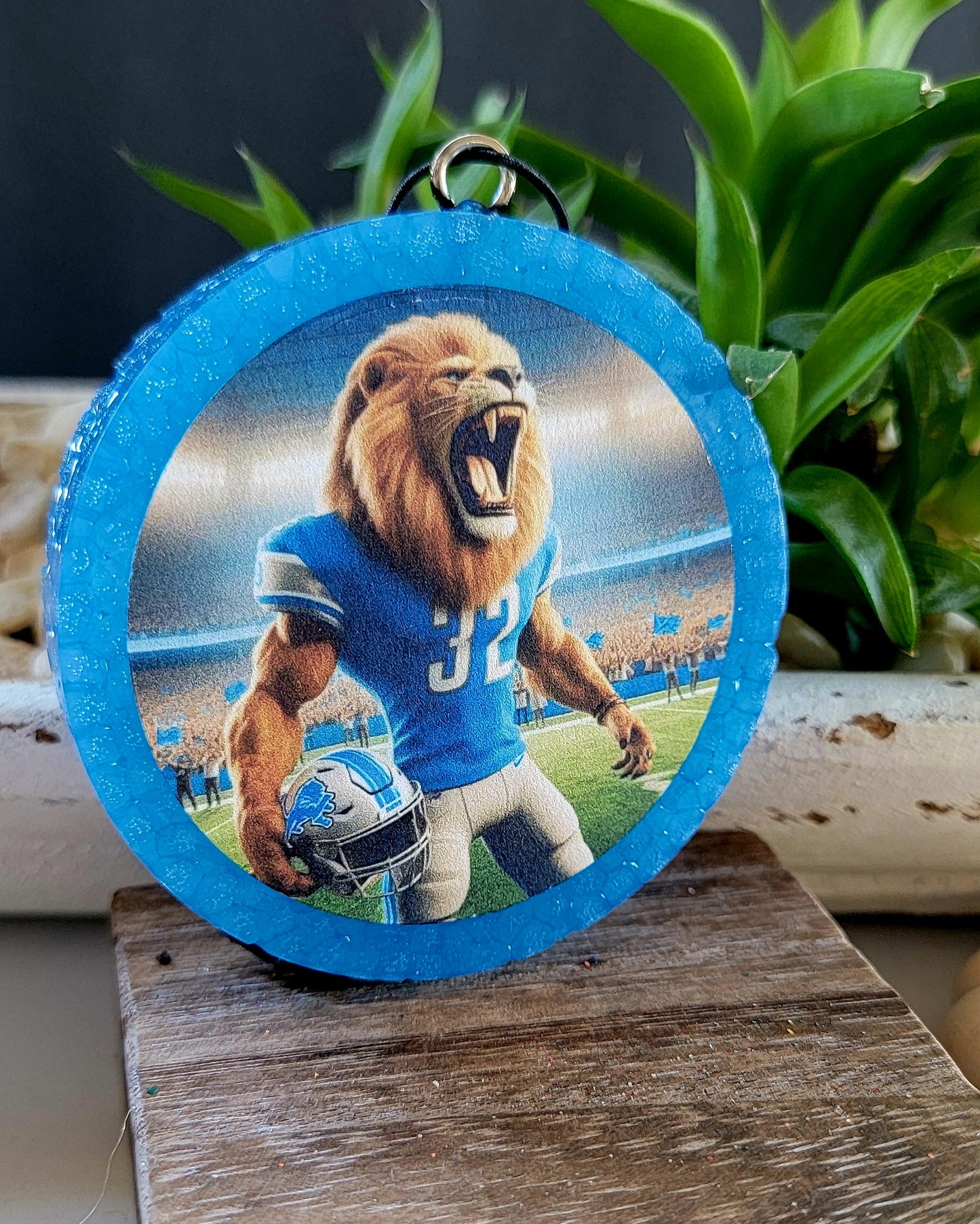Detroit Lions