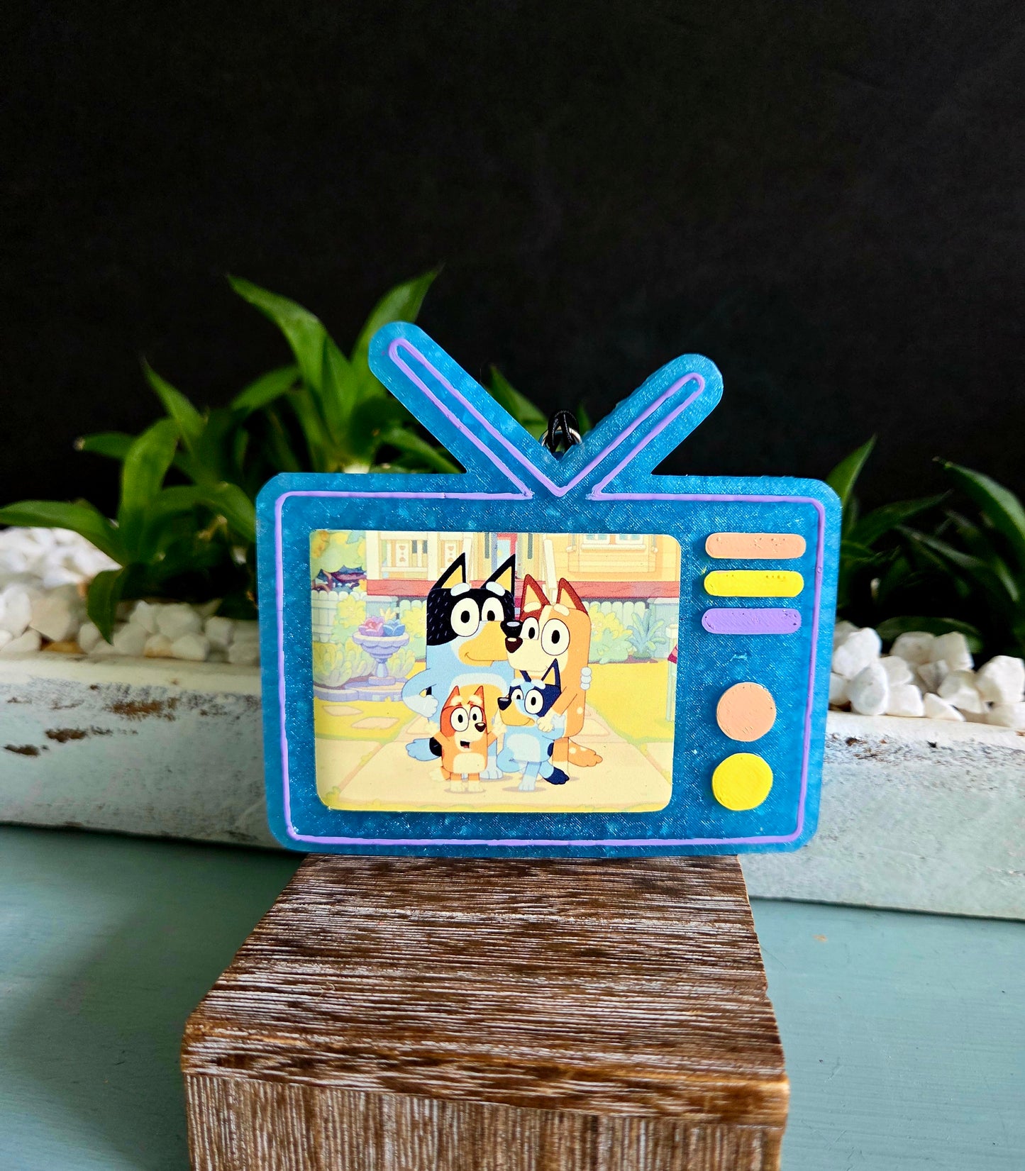 TV with your choice show