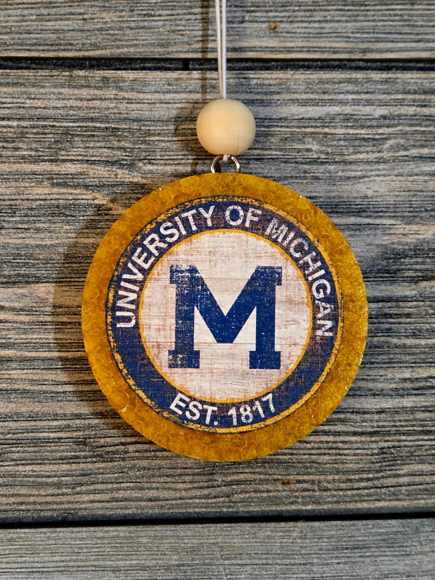 University of Michigan College
