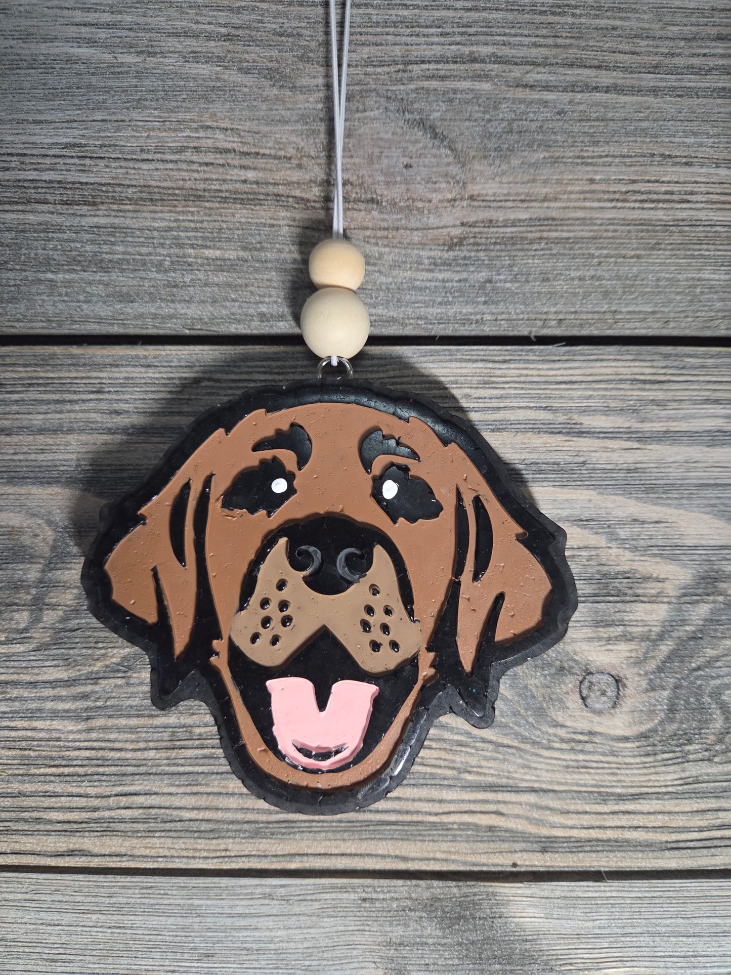 Labrador Dog