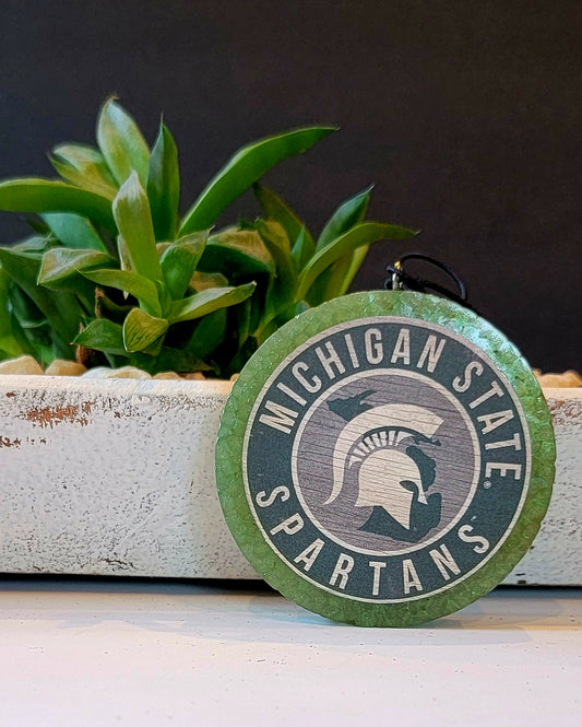 Michigan State university  Spartans