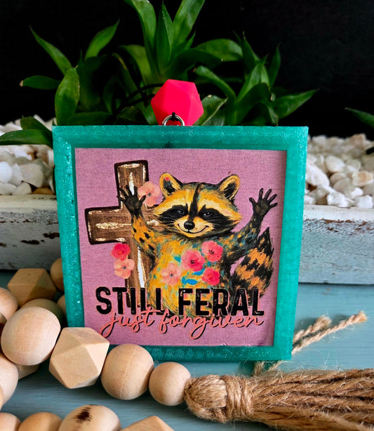 Racoon feral and forgiven