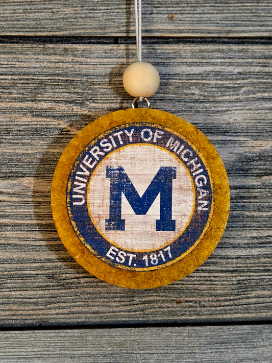 University of Michigan College