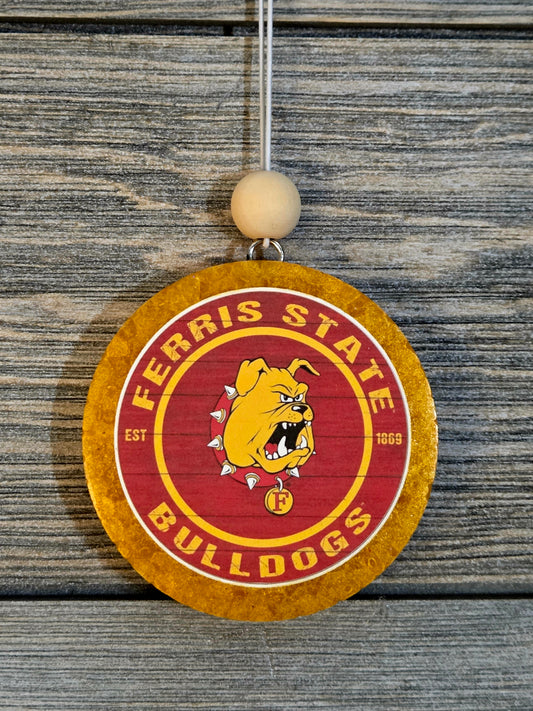 College Ferris state