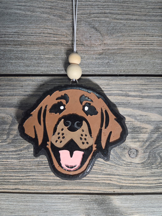 Labrador Dog