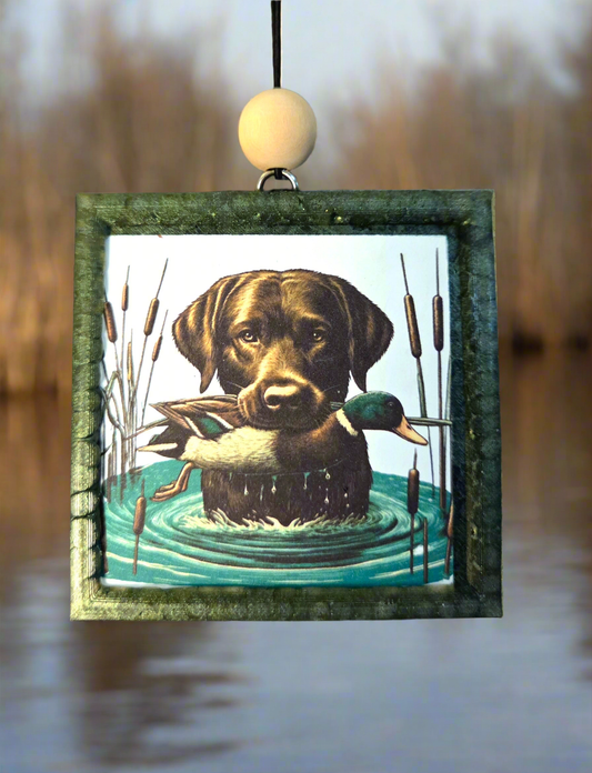 Duck hunting dog