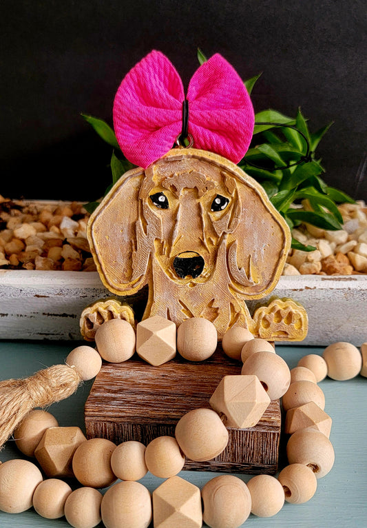 Dashound Dog